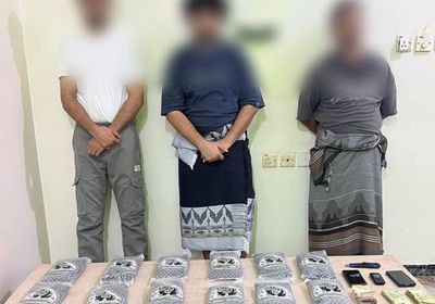 القبض على عصابة ترويج مخدرات وضبط 12 كيلوجرام حشيش بعدن
