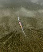 الأمطار الهاطلة بعد جفاف تضخ المياه والحياة في أهوار العراق