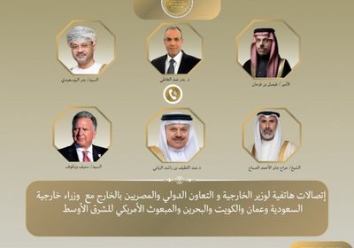 وزير الخارجية المصري يبحث خفض التصعيد مع نظرائه بعدد من الدول