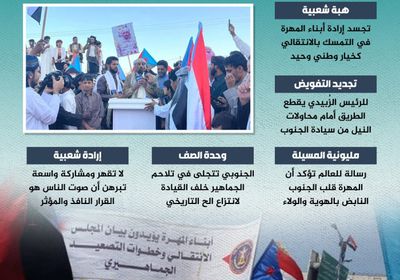 مليونية المهرة.. تجديد العهد وحماية السيادة (إنفوجراف)