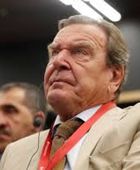 مسؤول ألماني: شرودر ليس وسيطًا نزيهًا في محادثات أوكرانيا