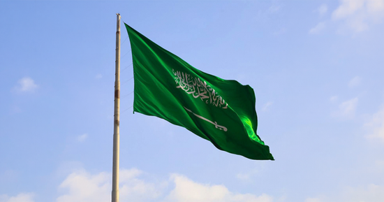 سريان اتفاقية الإعفاء المتبادل من التأشيرات بين السعودية وروسيا