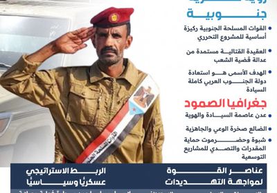 القوات الجنوبية.. الدرع الحامي لمسار استعادة الدولة (إنفوجراف)