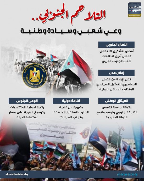 التلاحم الجنوبي.. وعي شعبي وسيادة وطنية (إنفوجراف)