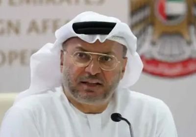 قرقاش: الدفاع عن الوطن واجب مقدس.. والسلام خيارنا الأول