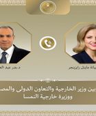 وزير الخارجية المصري يبحث مع نظيرته النمساوية المستجدات في المنطقة