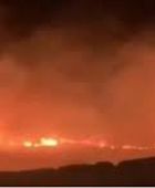 مستوطنون يحرقون أراضي زراعية برام الله