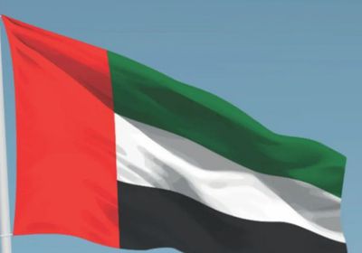 الإمارات تدعو مجلس الأمن لإدانة الهجوم على محيط محطة "براكة"