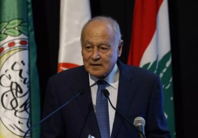 أبو الغيط: التغلغل الإسرائيلي بالقرن الأفريقي يهدد يعمق التوتر في المنطقة