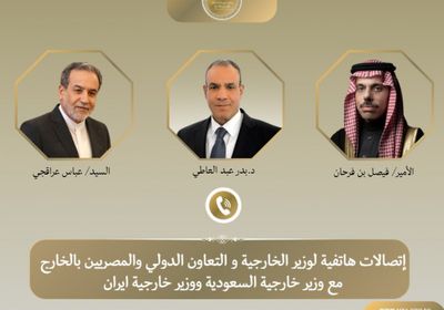 وزير الخارجية المصري يبحث مع نظيريه السعودي والإيراني جهود خفض التصعيد