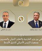 وزير الخارجية المصري يبحث مع ويتكوف التطورات الإقليمية