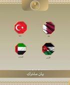 مصر و7 دول يدينون تصرفات "بن غفير" بحق المشاركين في أسطول غزة