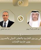 وزير الخارجية المصري يبحث مع نظيره الإماراتي التطورات الإقليمية
