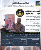 بنية المجلس الانتقالي.. صلابة ترسخ مسار استعادة الدولة (إنفوجراف)