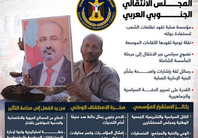 بنية المجلس الانتقالي.. صلابة ترسخ مسار استعادة الدولة (إنفوجراف)