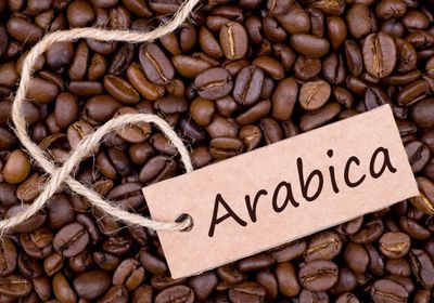 عقود قهوة أرابيكا ترتد للارتفاع بعد ملامسة أدنى مستوياتها