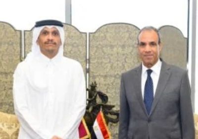 وزير الخارجية المصري يبحث التطورات الإقليمية مع نظيره القطرى