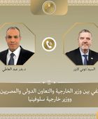 وزير الخارجية المصري يبحث مع نظيره السلوفيني تطوير العلاقات الثنائية