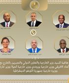 وزير الخارجية المصري يبحث مع رئيس الاتحاد الأفريقى تعزيز العمل المشترك