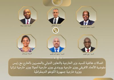 وزير الخارجية المصري يبحث مع رئيس الاتحاد الأفريقى تعزيز العمل المشترك