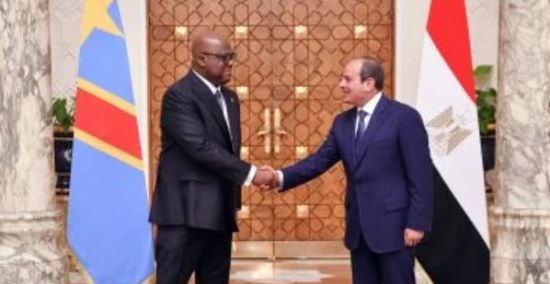 السيسي يؤكد ضرورة احترام وحدة الأراضي الكونغولية