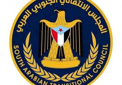 دور محوري للمجلس الانتقالي لتأمين باب المندب وصياغة الحل المستدام