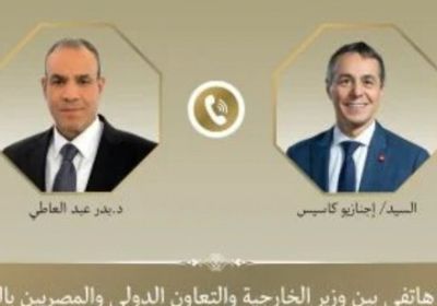 وزير الخارجية المصري يؤكد لنظيره السويسرى دعم المسار التفاوضي الأمريكي الإيراني