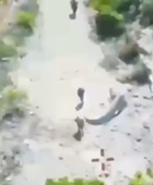 الجيش الإسرائيلي: تصفية 7 عناصر من حزب الله في جنوب لبنان
