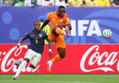 كوت ديفوار يهزم الإكوادور بهدف نظيف بكأس العالم