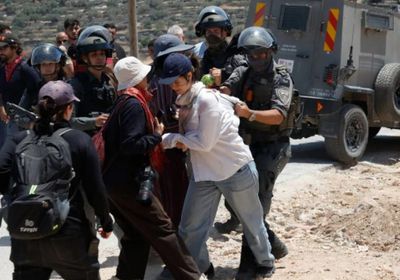 النرويج تعتزم حظر التجارة مع المستوطنات الإسرائيلية على أراضٍ فلسطينية