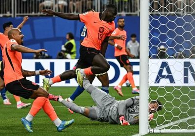 منتخب هولندا يتقدم بهدفين على نظيره السويدي