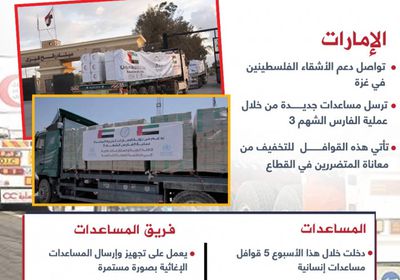 الإمارات تواصل دعم غزة.. 786 طنا من المساعدات لتخفيف معاناة الأهالي (إنفوجراف)