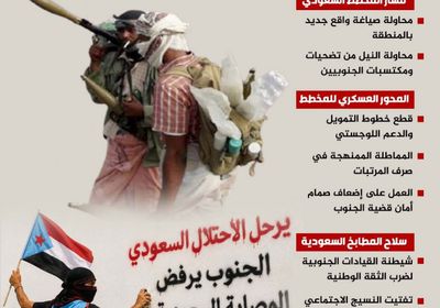 أبعاد مخطط السعودية لتفكيك الجنوب أمنيًا وسياسيًا (إنفوجراف)