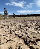التغير المناخي مسؤول عن موجة القيظ في أوروبا