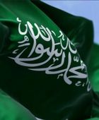 السعودية تؤكد أهمية التمسك بميثاق الأمم المتحدة