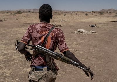 الجيش السوداني يعلن تحرير مدينة كلبس الاستراتيجية