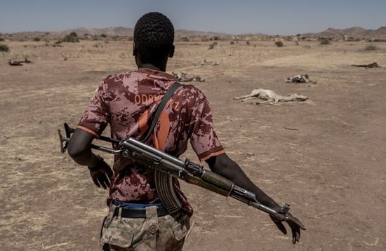 الجيش السوداني يعلن تحرير مدينة كلبس الاستراتيجية