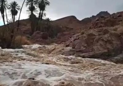 زيلينسكي يسخر من بوتين بسبب الوعود العسكرية