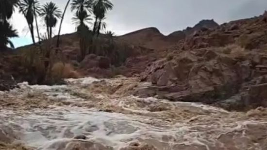 زيلينسكي يسخر من بوتين بسبب الوعود العسكرية