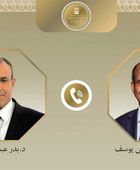 وزير الخارجية المصري يبحث مع رئيس الاتحاد الإفريقي دعم التكامل القاري