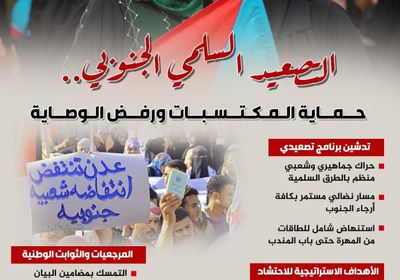 التصعيد السلمي الجنوبي.. حماية المكتسبات ورفض الوصاية (إنفوجراف)