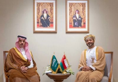 وزيرا خارجية السعودية وعُمان يبحثان تطورات مضيق هرمز والتعاون الثنائي