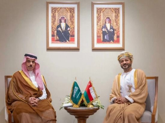 وزيرا خارجية السعودية وعُمان يبحثان تطورات مضيق هرمز والتعاون الثنائي
