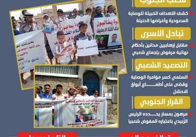 غليان جنوبي بعد انكشاف أهداف الوصاية السعودية (إنفوجراف)
