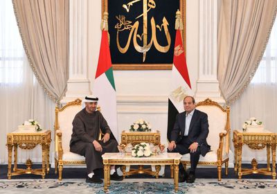 الرئيس السيسي والشيخ محمد بن زايد يبحثان تطورات المنطقة