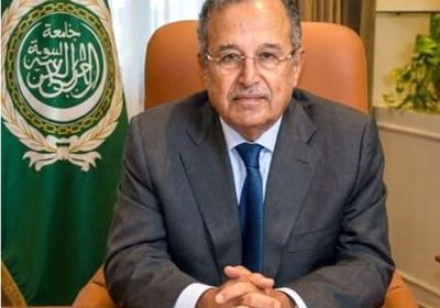 "لا تقبل المساومة".. نبيل فهمي: أمن أي دولة عربية مسؤولية جماعية