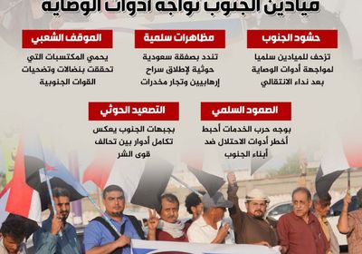 برنامج التصعيد.. ميادين الجنوب تواجه أدوات الوصاية (إنفوجراف)