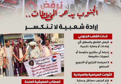 الجنوب يدحر المخططات.. إرادة شعبية لا تنكسر (إنفوجراف)