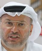 قرقاش: حان الوقت لتعزيز فاعلية مجلس التعاون الخليجي