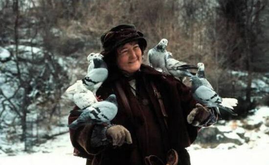 وفاة سيدة الحمام في فيلم Home Alone2